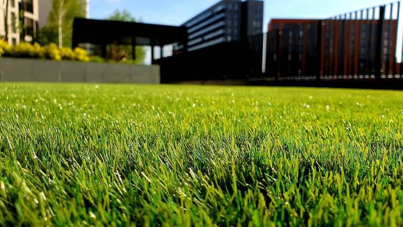 Award-winning Landscaping Design's image